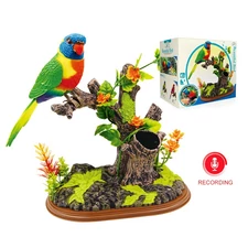 RECORD PARROT