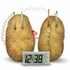 POTATO CLOCK