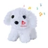 WHITE PLUSH DOG WITH FOOD SET